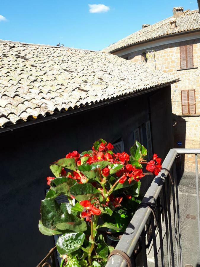 Orvieto Houseアパートメント エクステリア 写真